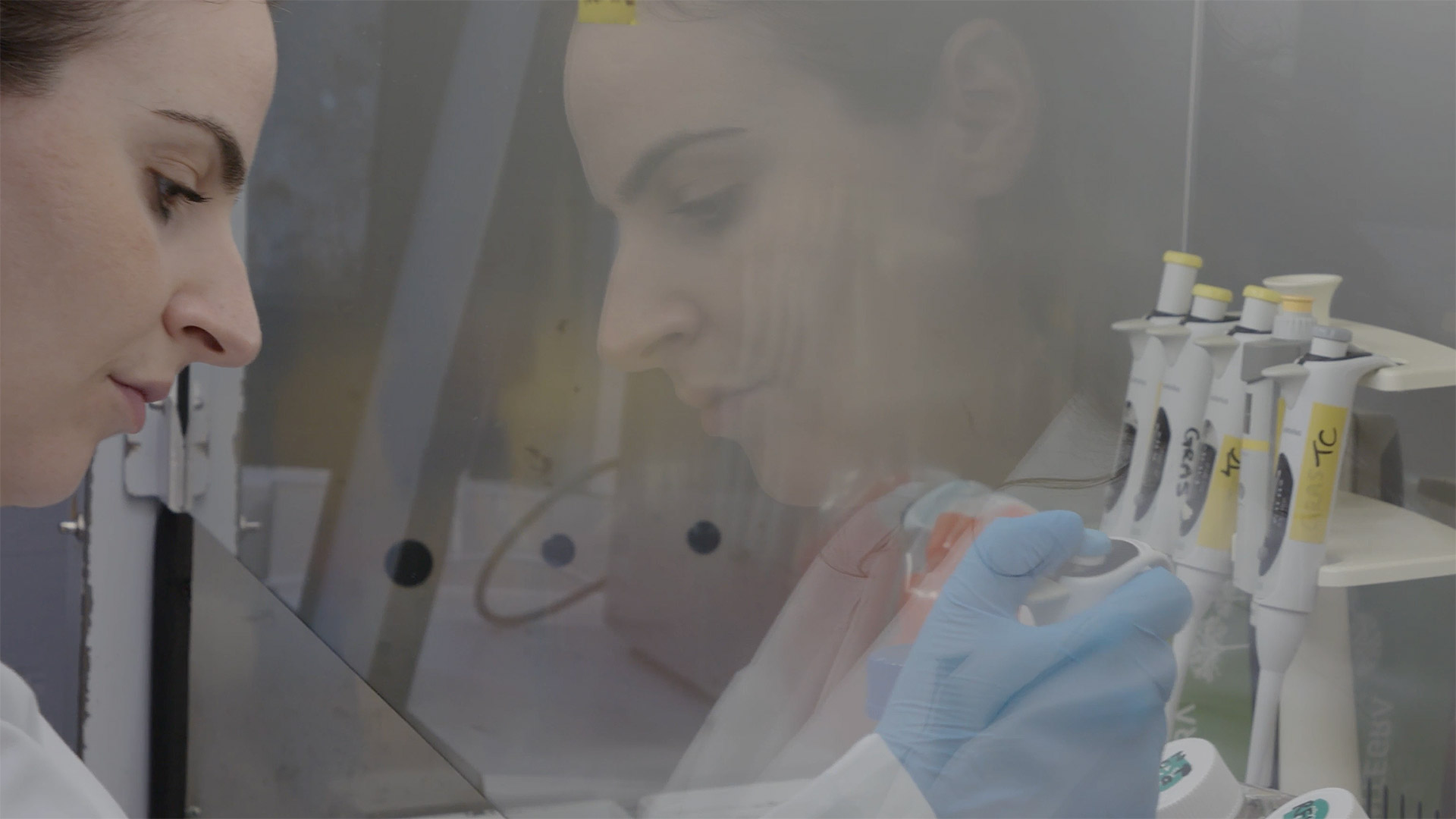 Postdoctoral Research